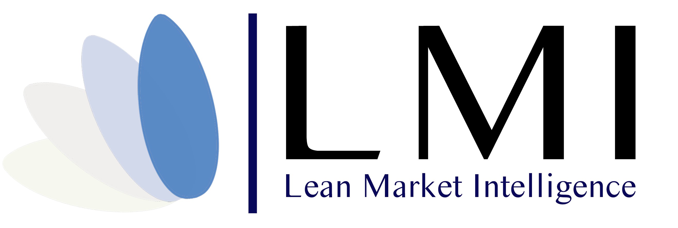 Lean Market Intelligence diseño de aplicaciones para análisis conjoint